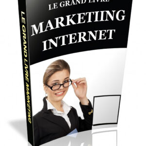 Le Grand Livre du Marketing Internet