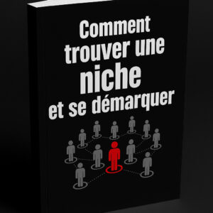 Trouver une niche et se démarquer