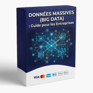 Données Massives (Big Data) : Guide pour les Entreprises